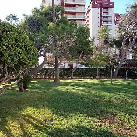 Manila Solo Familias Serviplaya * Gandia
